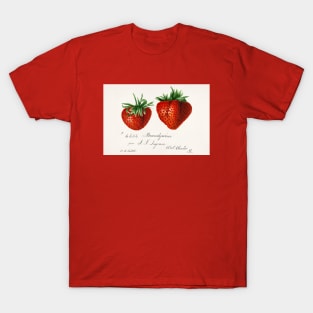 Strawberries Vintage Book T-Shirt